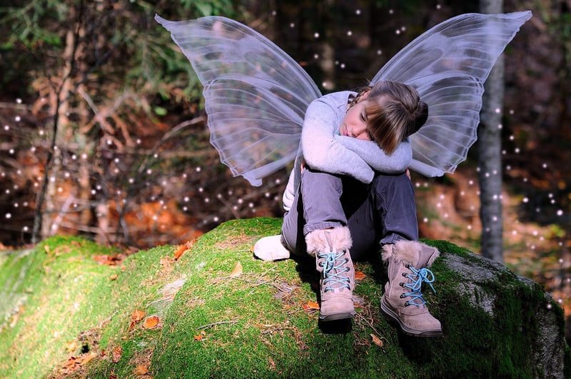 Fairy Wing Necklace